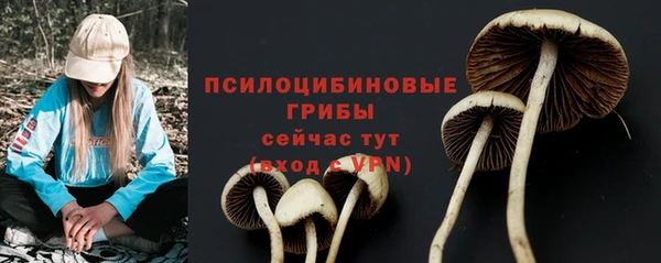дмт Бугульма