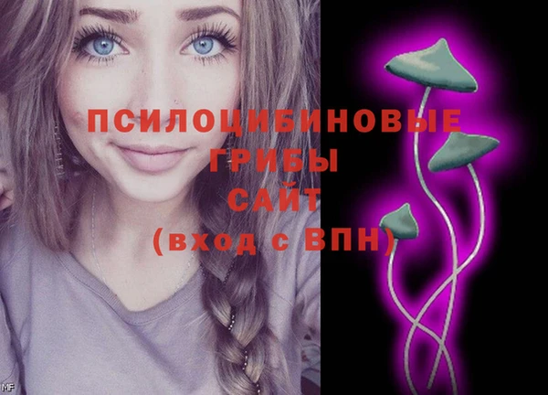 амф Тавда